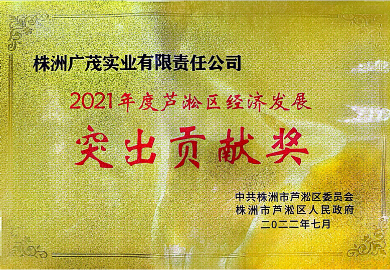 經(jīng)濟發(fā)展突出貢獻獎